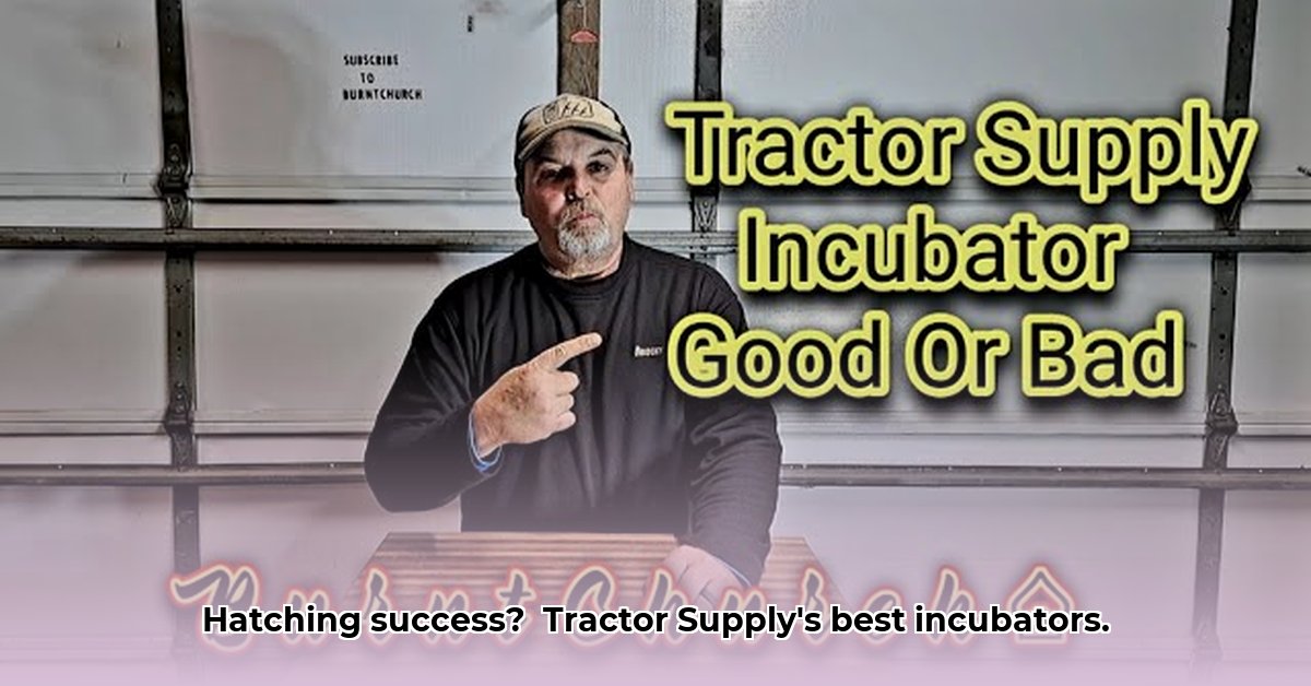 egg-incubators-at-tractor-supply